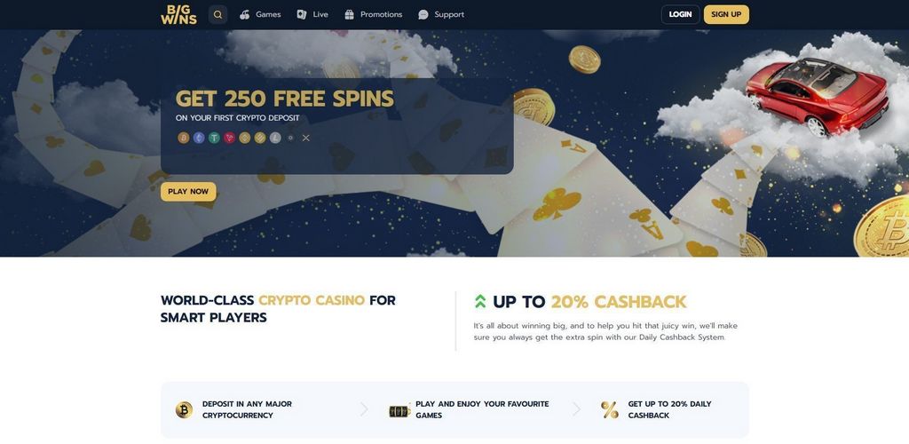 BigWins Casino Site Bonus Codes & Promotions