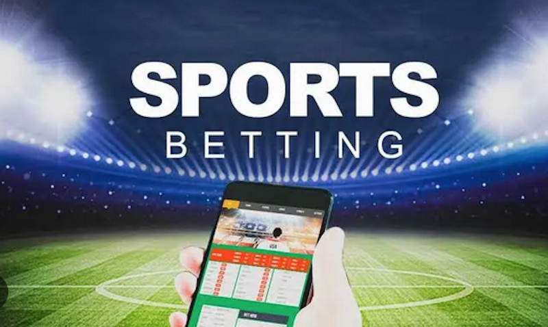Betwinner India Login Your Guide to Accessing the Platform -420963858